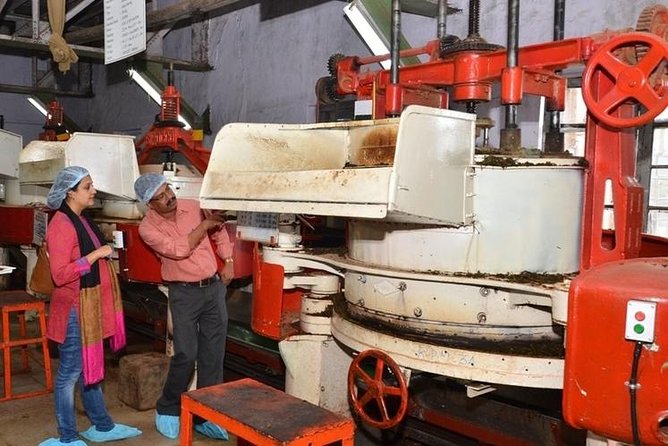 Munnar Tea Trail Tour with Factory Experience ( By Munnar Info) - Timing: morning vs afternoon and how long it feels