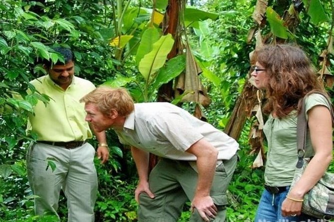 Munnar Tea valley Tour ( By Munnar Info) - Key highlights worth your attention