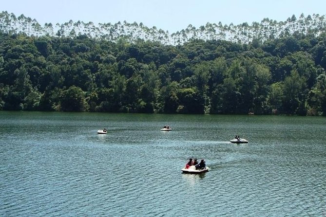 Munnar Tea valley Tour ( By Munnar Info) - Entering the tea valley loop: why this route makes sense