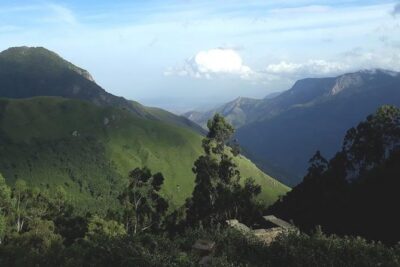 Munnar Tea valley Tour ( By Munnar Info) - Price and logistics: what $43 includes, and what adds up
