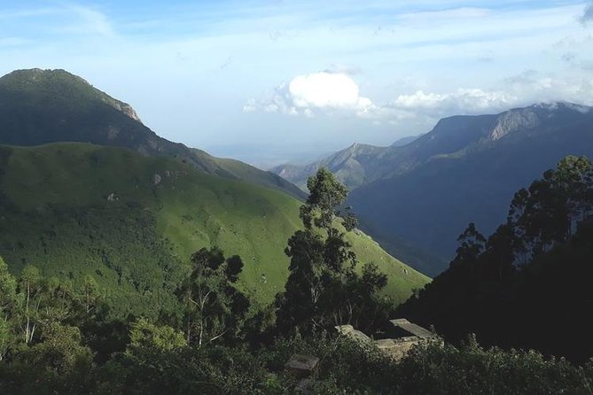 Munnar Tea valley Tour ( By Munnar Info) - Price and logistics: what $43 includes, and what adds up