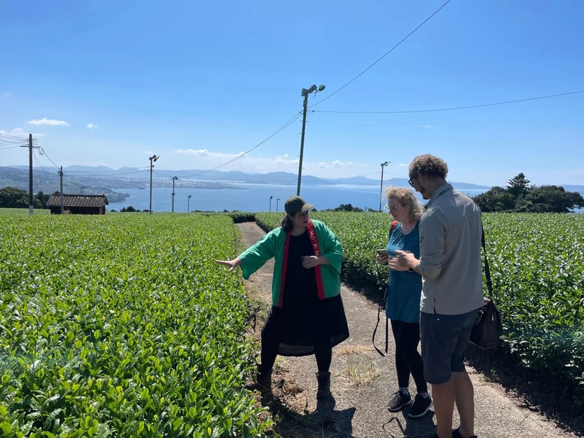 Nagasaki: Explore Japanese Teas on a Tea Tour - Key moments you’ll care about