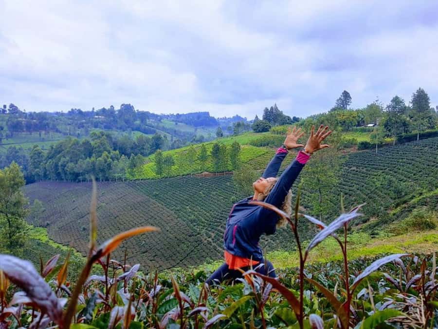 Nairobi: Purple Tea Farm Gatura Greens Day Trip - Who This Day Trip Is Best For (and Who Should Skip It)