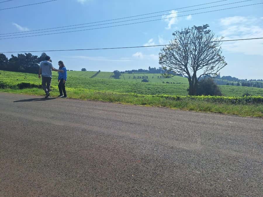 Nairobi: Tea Farm Day Trip with Lunch at kiambethu - Forest Trek, Indigenous Plants, and the Waterfall Dip