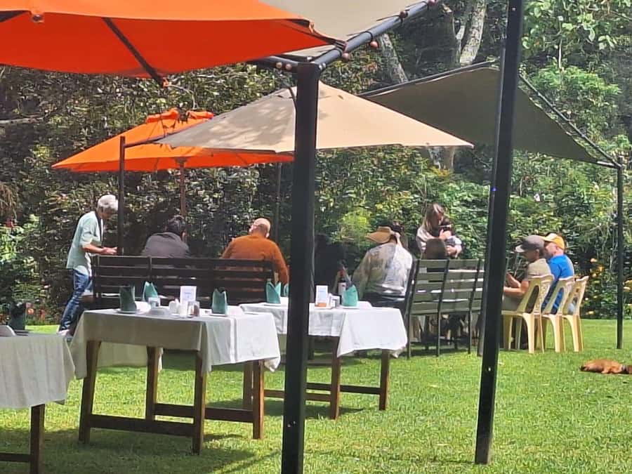 Nairobi: Tea Farm Day Trip with Lunch at kiambethu - Who This Tour Fits Best (and Who Might Not Love It)