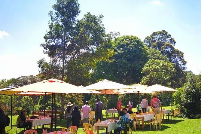 Nairobi to Kiambethu Tea Farm Tour - Pickup, timing, and what the 5 to 6 hours really include
