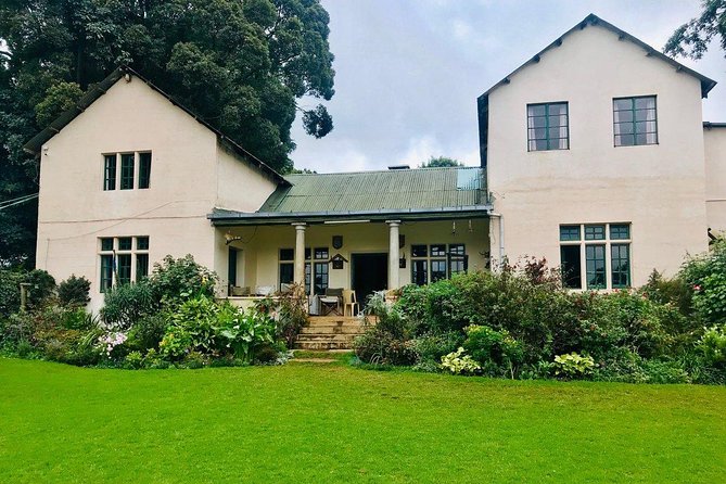 Nairobi to Kiambethu Tea Farm Tour - Walking the tea fields and seeing the farm up close