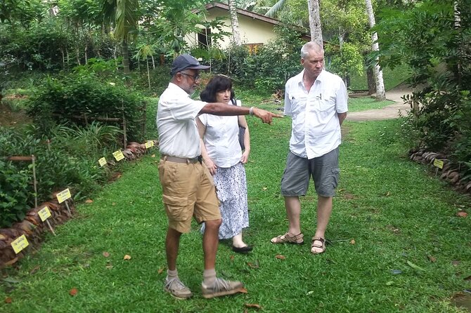 Nandana Tea Walking Tour in Sri Lanka - Tea Tasting: Don’t Just Sip—Compare