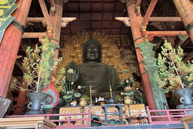 Nara：Private Tea Ceremony(Max 5 ppl) -Master Matcha Making- - Price and value: is $50.85 per person fair?