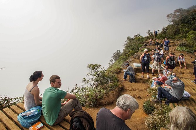 Nuwara Eliya: All Inclusive Horton Plains & Tea Plucking Day Trip - Pedro Tea Factory and Plantation: From Plant to Cup