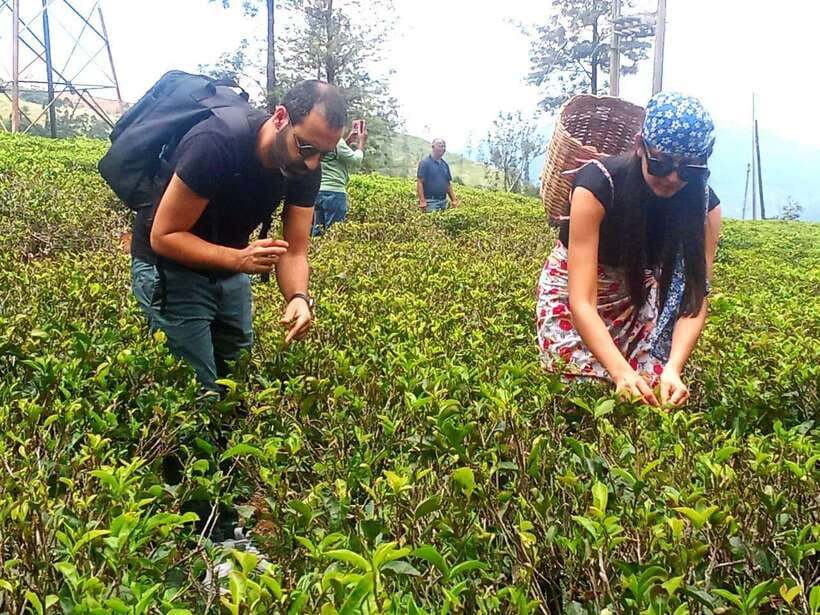 Nuwara Eliya: Tea Factory and Pickle Waterfalls Tuk Tuk Tour - Nuwara Eliya town time: what the short break is good for