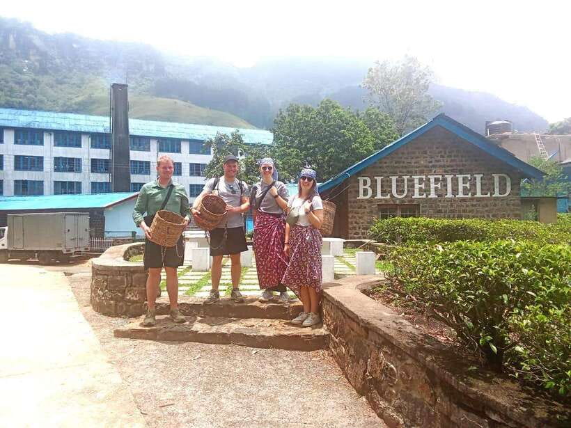 Nuwara Eliya: Tea Factory and Pickle Waterfalls Tuk Tuk Tour - Price and value: is $33 per person fair?