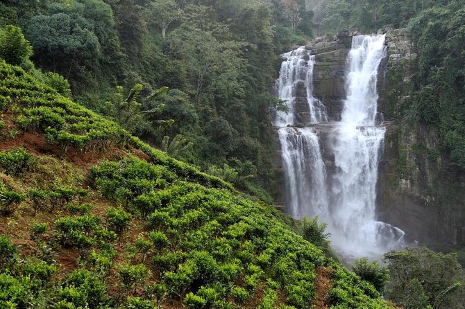 Nuwara Eliya Tea factory and waterfall tour - Key highlights at a glance