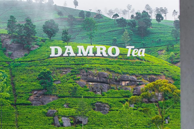 NuwaraEliya Tea Factory,Plantation & Water Falls Hike Tour by Car - Key highlights you’ll feel right away