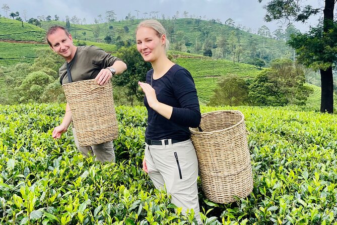 NuwaraEliya Tea Factory,Plantation & Water Falls Hike Tour by Car - Ramboda Falls: how to enjoy the walk without stressing your feet