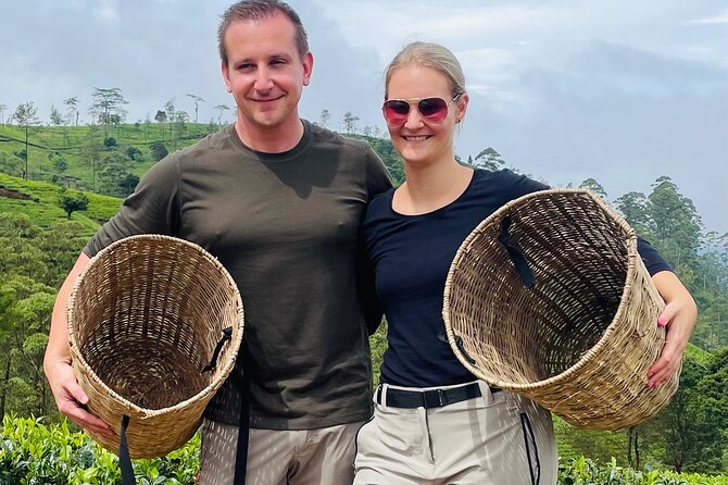 NuwaraEliya Tea Factory,Plantation & Water Falls Hike Tour by Car - Price and value: is $56 per group a smart deal?