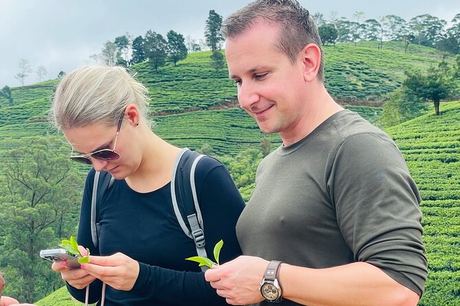 NuwaraEliya Tea Factory,Plantation & Water Falls Hike Tour by Car - Included extras that are genuinely useful
