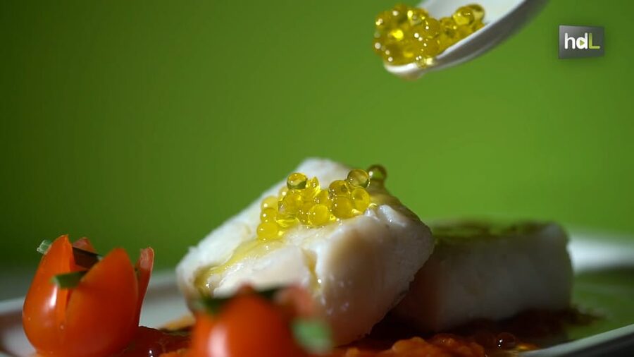 OleoAlmanzora: Guided tour + EVOO Breakfast/Afternoon tea - Should you book OleoAlmanzora?