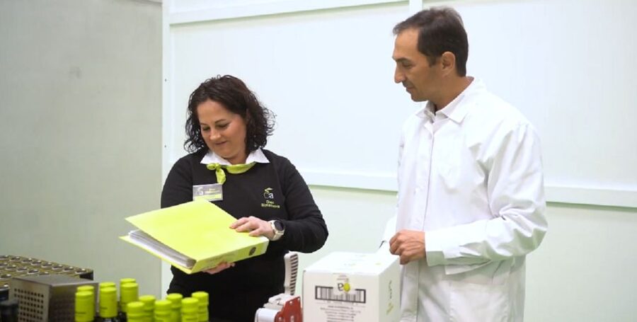 OleoAlmanzora: Guided tour + EVOO Breakfast/Afternoon tea - Why this tour’s olive oil lesson is practical (not just educational)