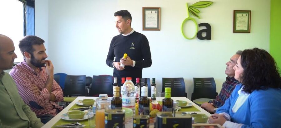 OleoAlmanzora: Guided tour + EVOO Breakfast/Afternoon tea - Who this tour is best for (and who should think twice)