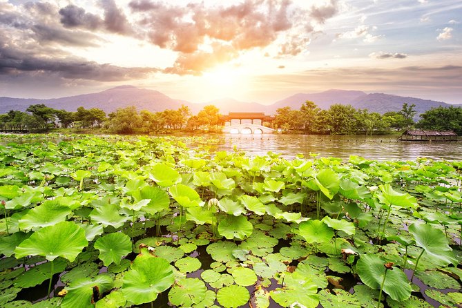 One-Day Hangzhou Dragon Well Tea Culture & West Lake Private Tour - Morning Tea at Meijiawu Tea Village (Longjing Country)