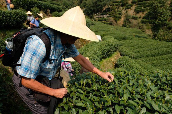 One-Day Hangzhou Dragon Well Tea Culture & West Lake Private Tour - West Lake by Boat: Fairy Island and Unhurried Lake Time