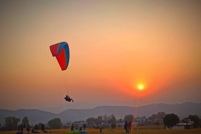 Palampur and Bir Tour, Tea Gardens, Adventures and Paragliding - Key Things That Make This Day Trip Worth Your Time