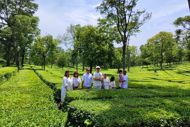 Palampur and Bir Tour, Tea Gardens, Adventures and Paragliding - Kangri Dham Lunch: Why It Matters Mid-Day