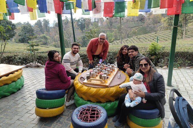 Palampur and Bir Tour, Tea Gardens, Adventures and Paragliding - Getting Going at 8:30am: Transport, Pickup, and a Private Group Feel