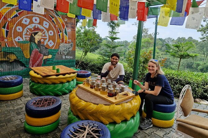 Palampur Tea Garden Tour - The Kangra tea tasting: aroma, body, and flavor explained