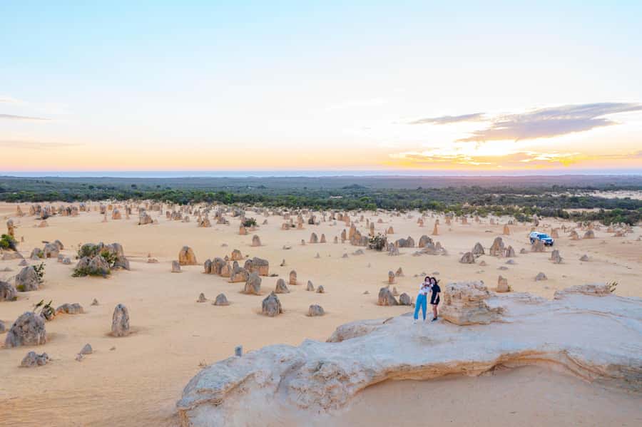 Perth: Pinnacles Desert Lobster Tour with Morning Tea - Who this Perth day trip suits best