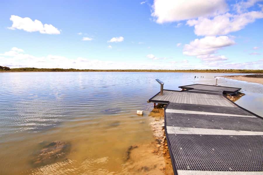 Perth: Pinnacles Desert Lobster Tour with Morning Tea - Should you book this Pinnacles Desert Lobster Tour with Morning Tea?