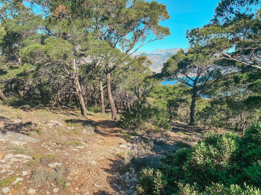 Pigadia: Agia Kyriaki Guided Hike with Coffee/Tea and Raki - What to bring so the hike stays fun