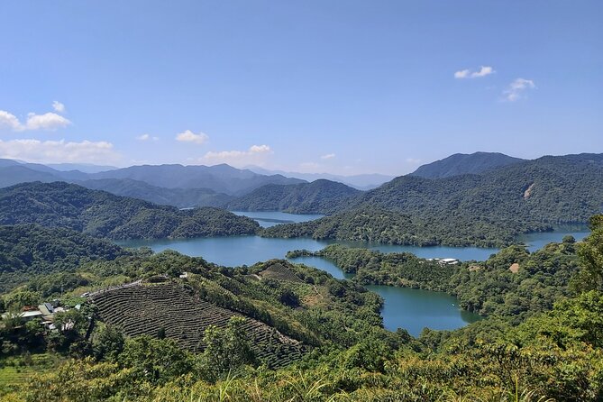 Pinglin Tea Culture & Maokong Day Tour from Taipei - Quick hits
