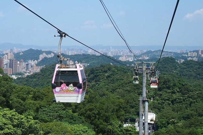 Pinglin Tea Culture & Maokong Day Tour from Taipei - Tea Promotion Center: Tieguanyin and Baozhong, explained in plain form