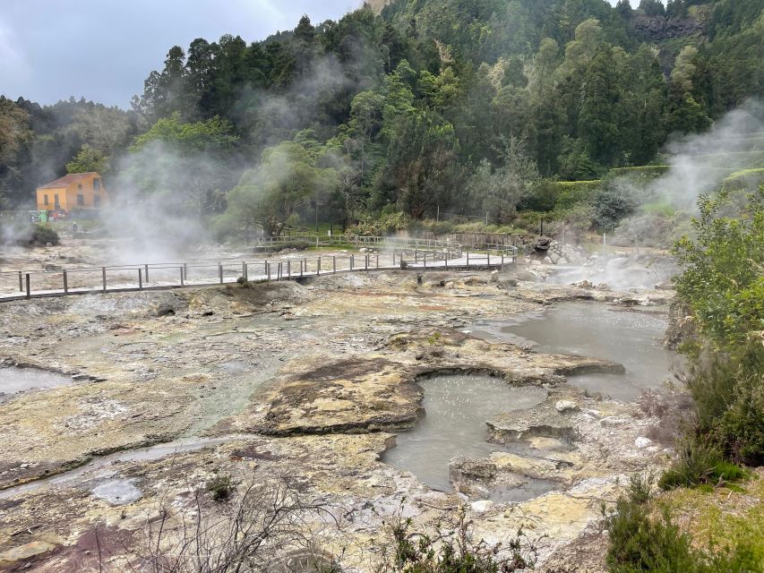 Privat van tour Furnas valley, Gorreana tea – islands gems - Key highlights at a glance