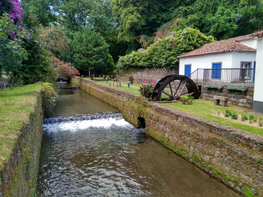 Privat van tour Furnas valley, Gorreana tea – islands gems - Private van on São Miguel: how your day stays stress-free
