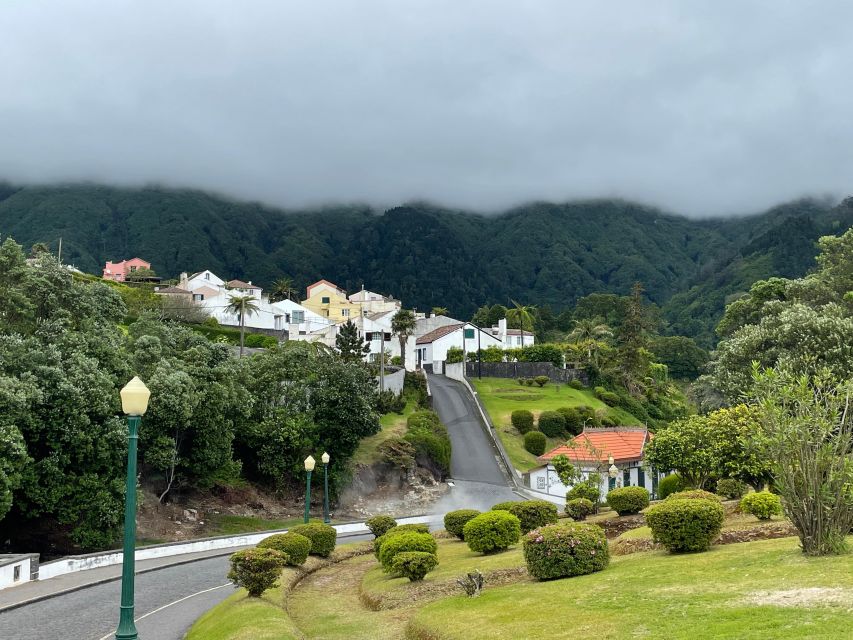 Privat van tour Furnas valley, Gorreana tea – islands gems - Gorreana Tea Factory: the Azores flavor stop with real time to breathe