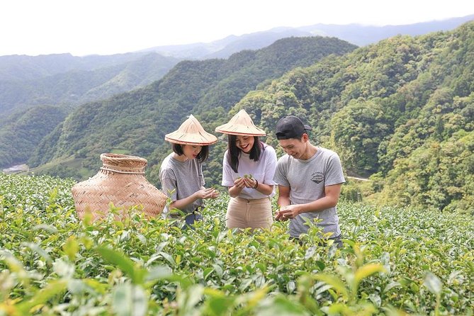 Private 1-Day Tea Experience in Taipei - Key highlights that make this day trip work
