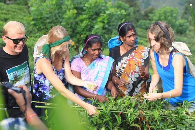 Private Galle Day Tour with Boat Safari & Tea Factory Visit - All Inclusive - Bentota River Safari: mangroves, wildlife spotting, and a boat pace that works