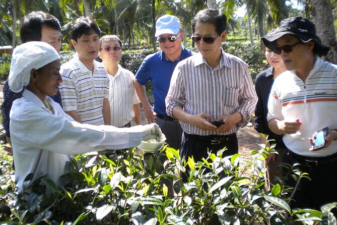 Private Galle Day Tour with Boat Safari & Tea Factory Visit - All Inclusive - Gem Museum & Showroom, a Buddhist Temple stop, and how these cultural stops fit