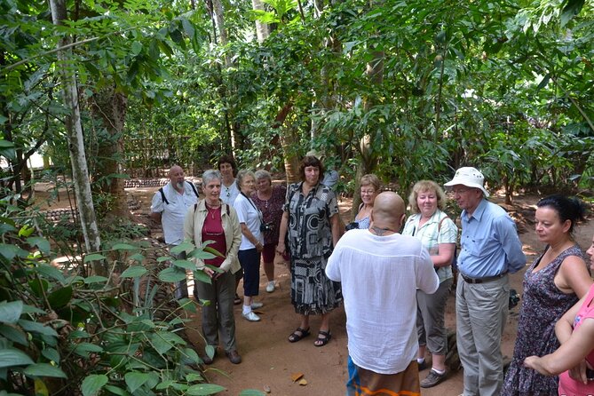 Private Galle Day Tour with Boat Safari & Tea Factory Visit - All Inclusive - Sea Turtle Hatchery: the emotional nature stop that people remember