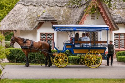 Private Jaunting Tour and Afternoon Tea in Killarney - Where the tour starts in Killarney (and how to keep it simple)