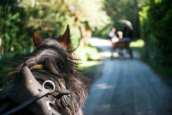 Private Jaunting Tour and Afternoon Tea in Killarney - Ross Castle: a quick stop with the right expectations