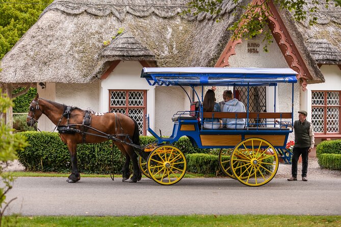 Private Jaunting Tour and Afternoon Tea in Killarney - Where the tour starts in Killarney (and how to keep it simple)