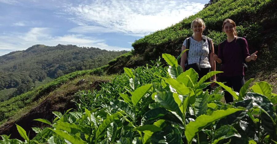 Private Munnar Tea Trek - Key things you’ll enjoy most