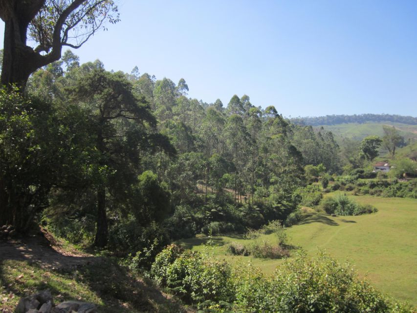 Private Munnar Tea Trek - Guided tour time: explanations, rest breaks, and photo-friendly pacing