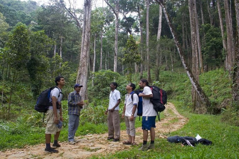 Private Munnar Tea Trek - What’s included, what isn’t, and how that affects your budget