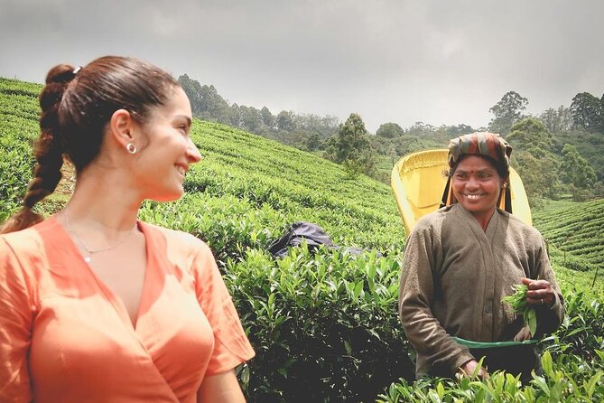 Private Tea Tour and Tea Factory - Key highlights I’d bet on