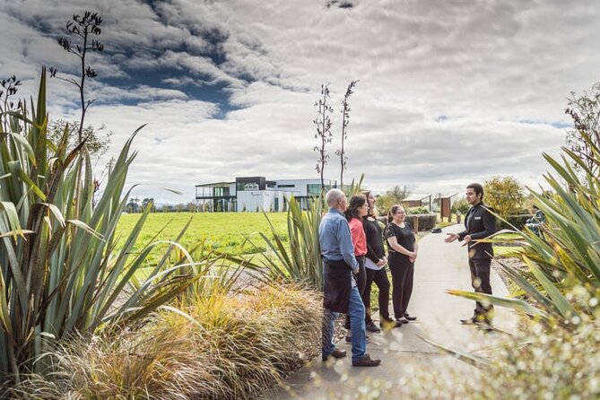 Private tour from Auckland - Waitomo Glowworm Caves, Zealong Tea & Kiwi Bird - Key things that make this private tour worth it